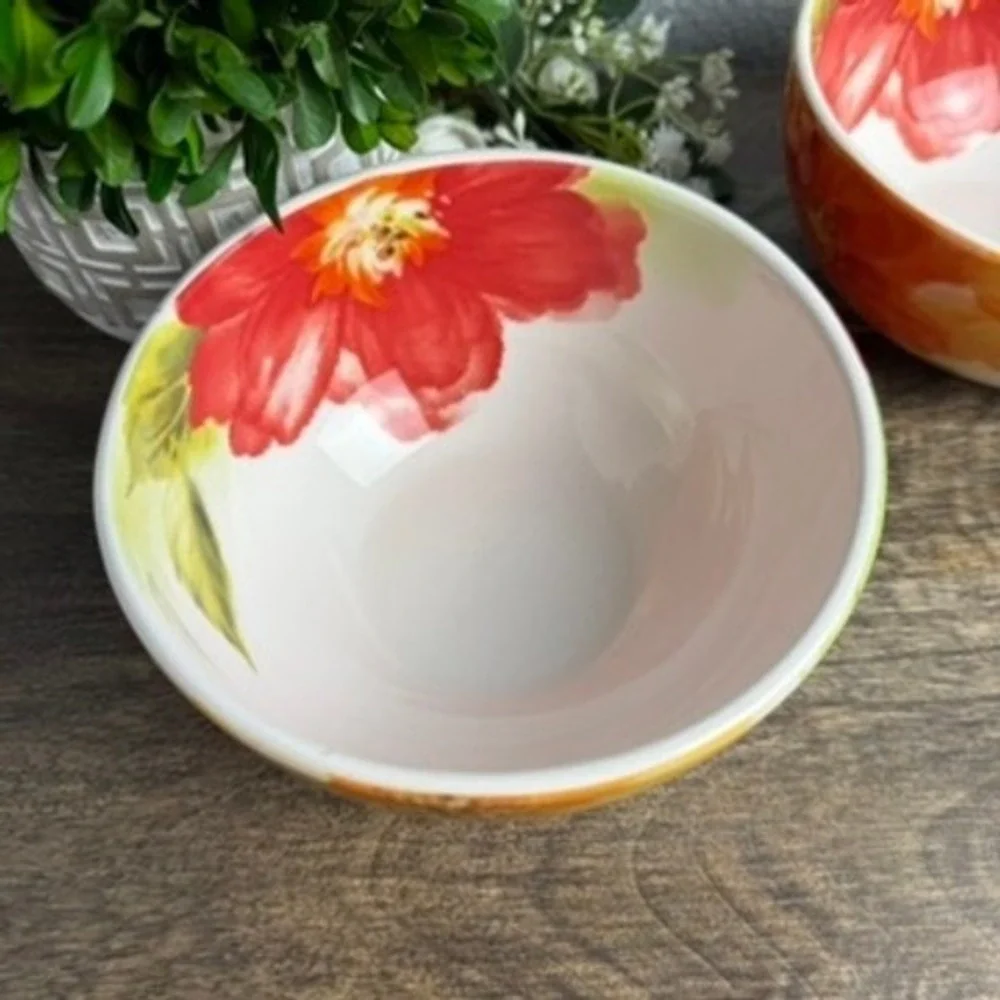 Pier 1 Amelia Floral Ironstone Bowls Set of 2 Colorful Cottage Kitchen 6